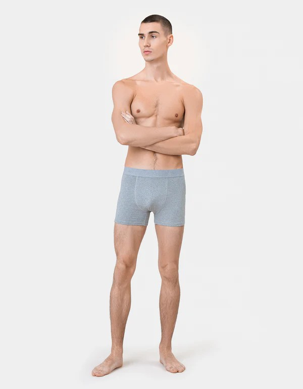 Colourful Standard Organic Boxer Briefs