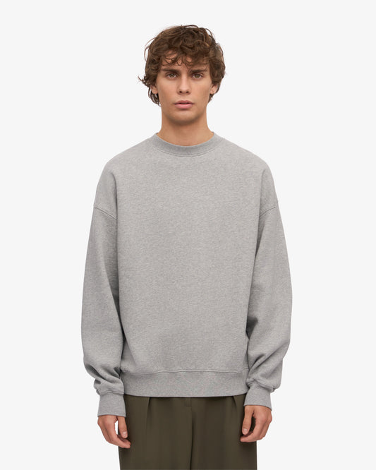 Colorful Standard Unisex Oversized Organic Crew