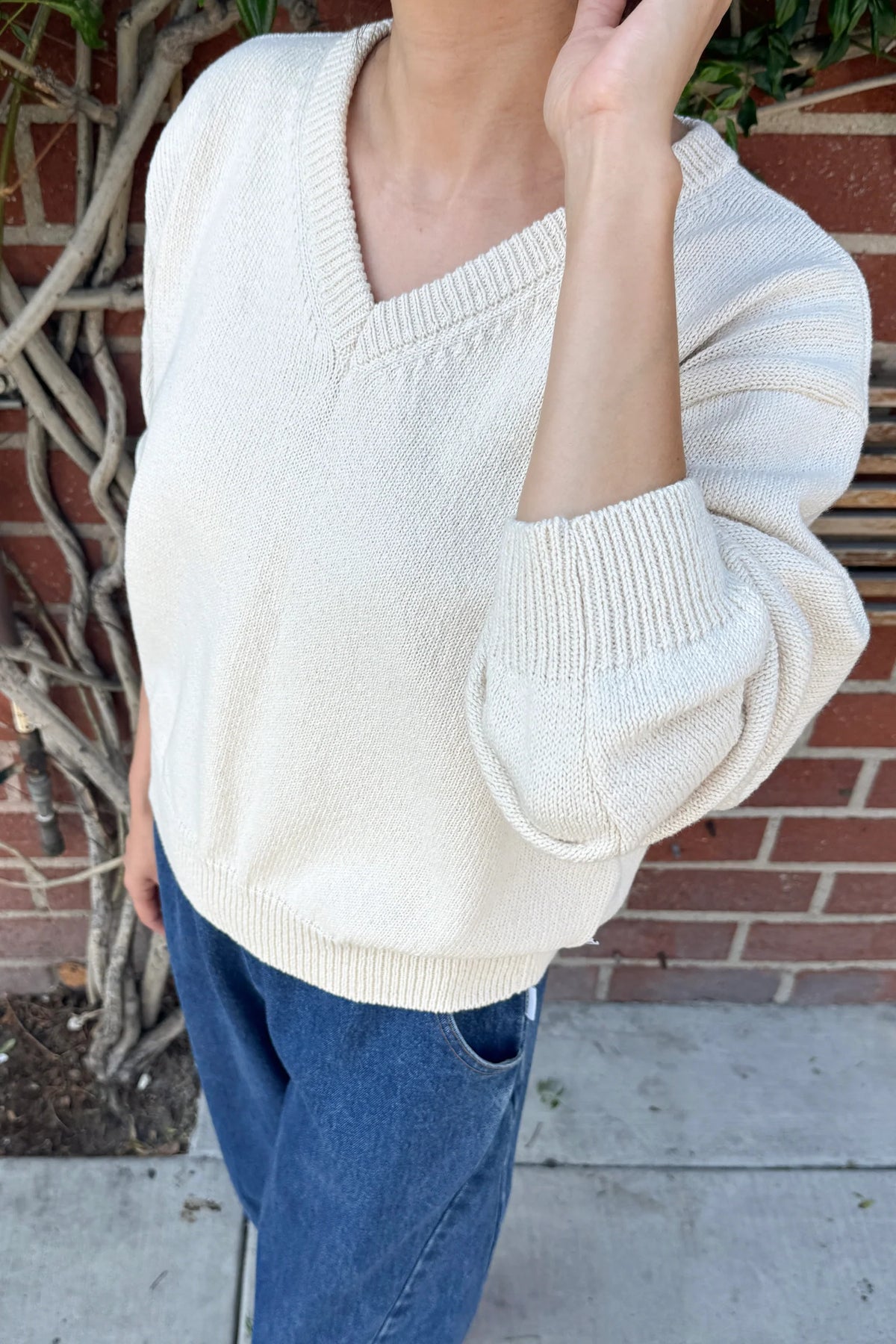 Le Bon Shoppe Cotton V Neck Sweater
