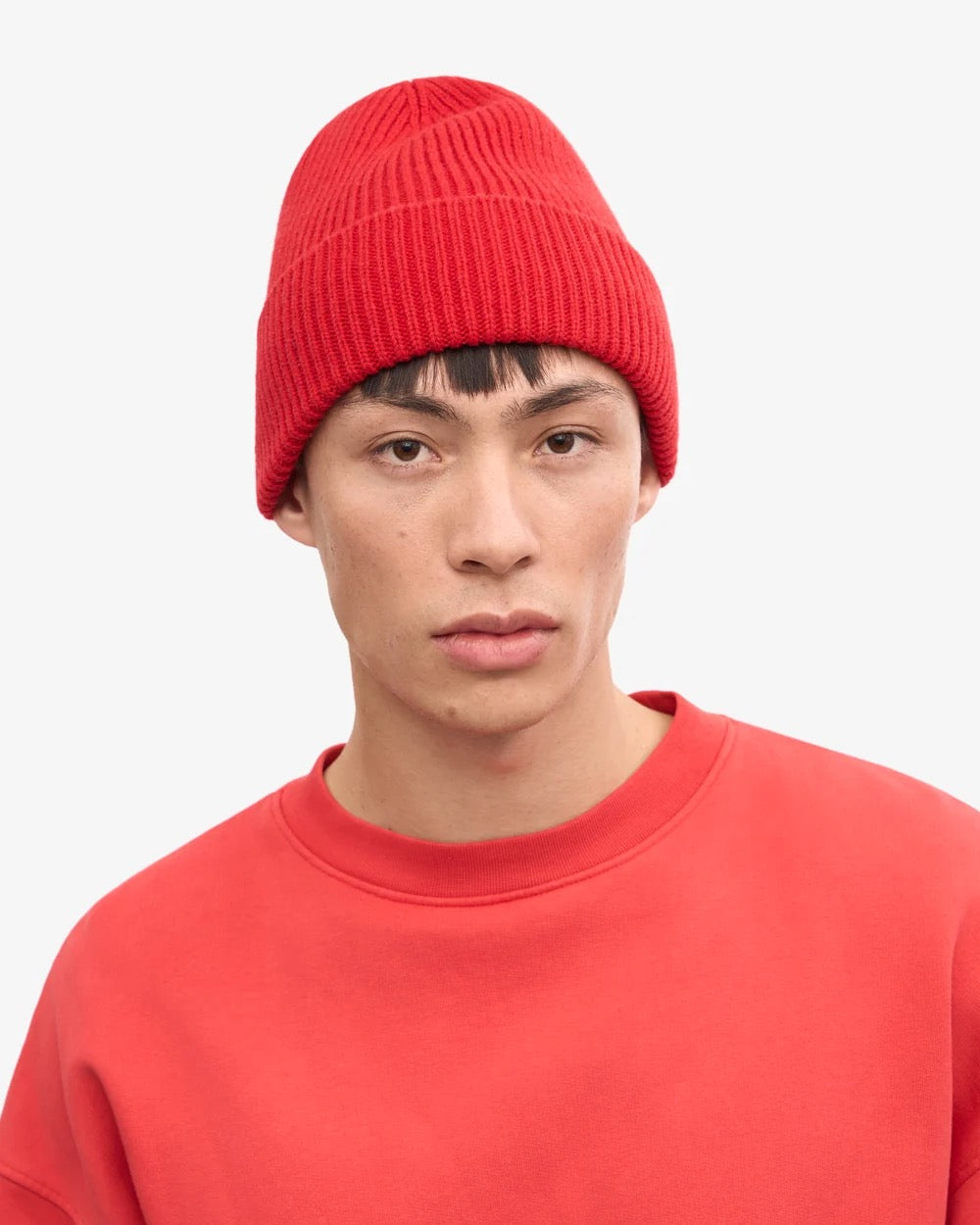 Colorful Standard Merino Wool Beanie (+6 colours)
