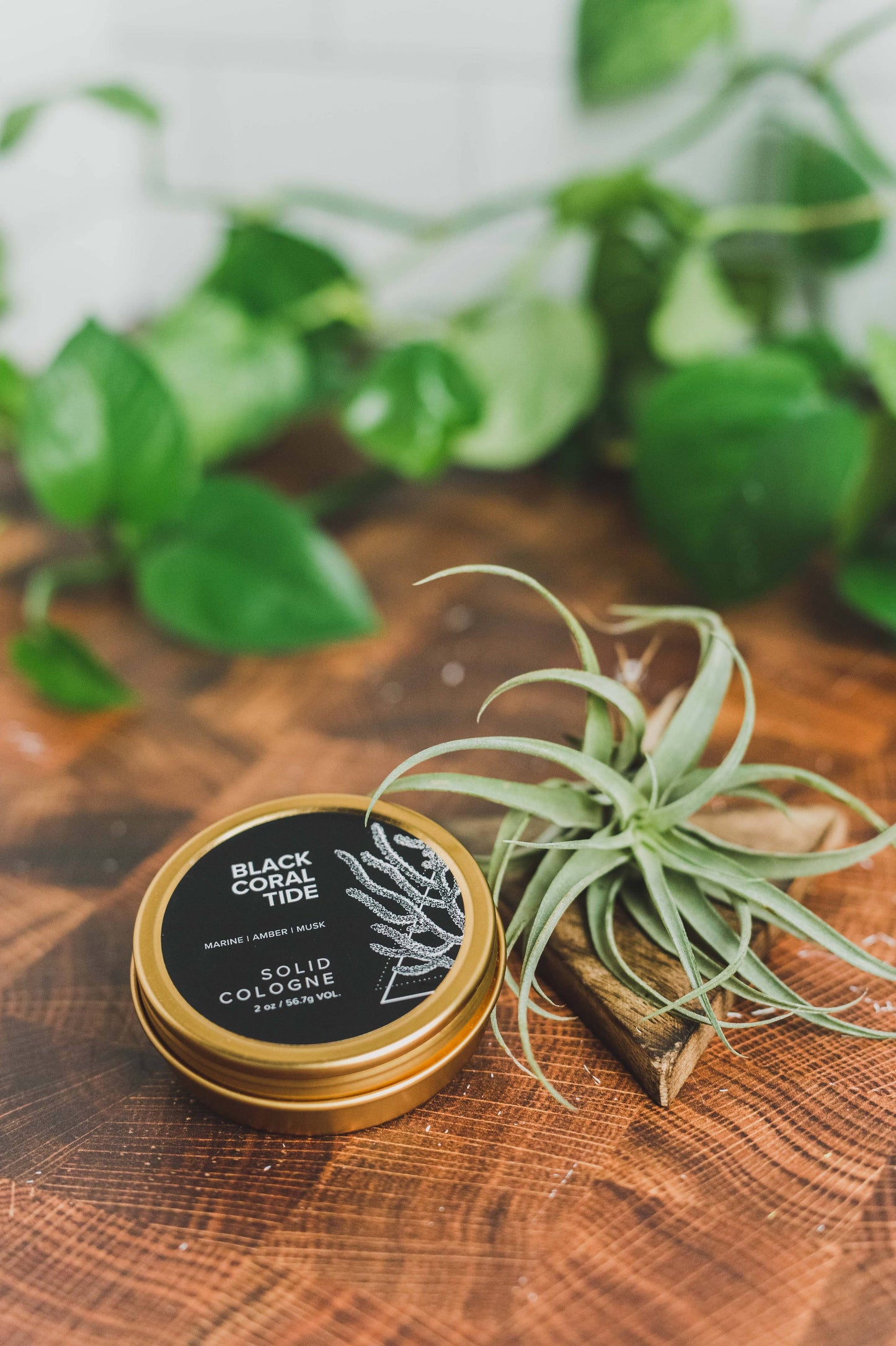 Broken Top Black Coral Tide Solid Cologne